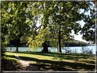 foto Lago di Toblino